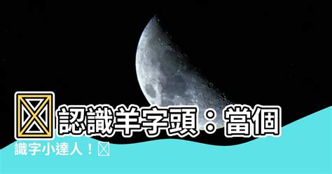 羊字頭|部首是「羊」的國字一覽